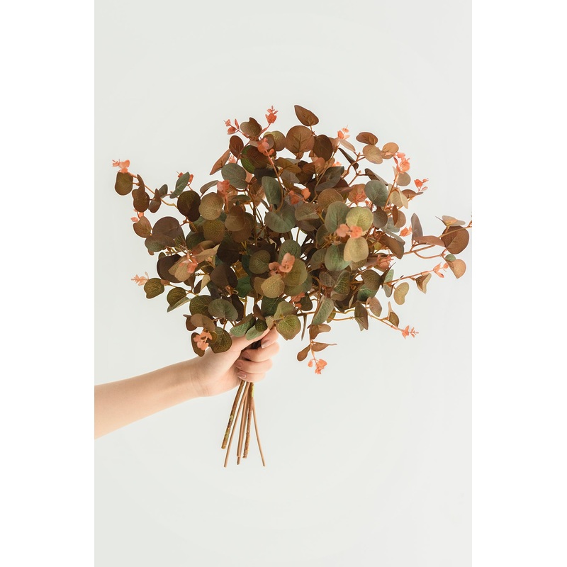 Terracotta Seeded Eucalyptus-Terracotta Seeded Eucalyptus