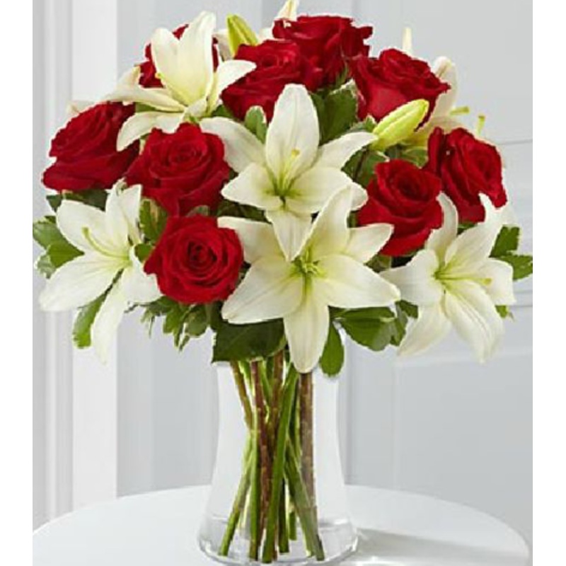 The Lana-Standard & Premium & Exquisite