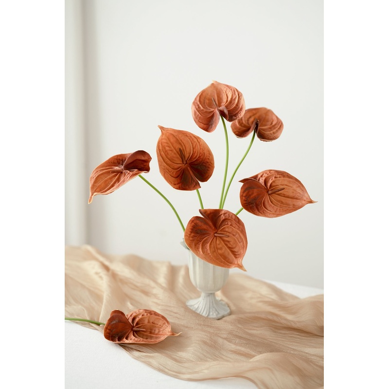 15 Anthurium Flowers with Stem