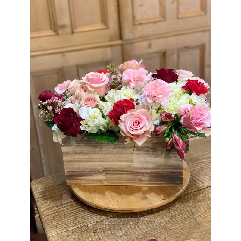 The Romantic Serena-Standard & Premium