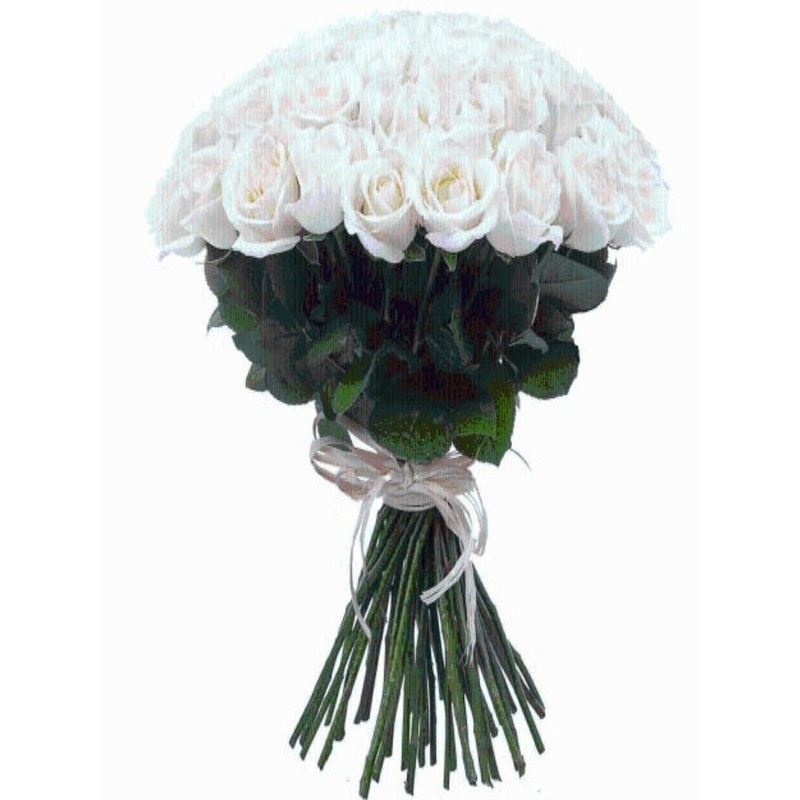 LUXURY WHITE ROSES BOUQUET-6 & 12 & 18 & 24 & 50 & 100 (As shown in image)