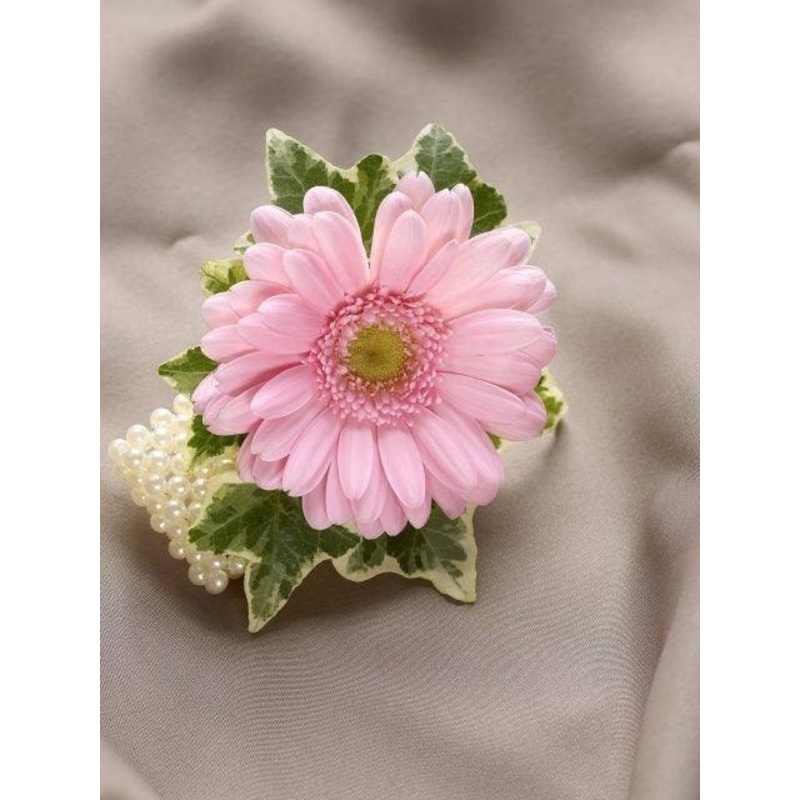 Pale Pink Germini Wrist Corsage