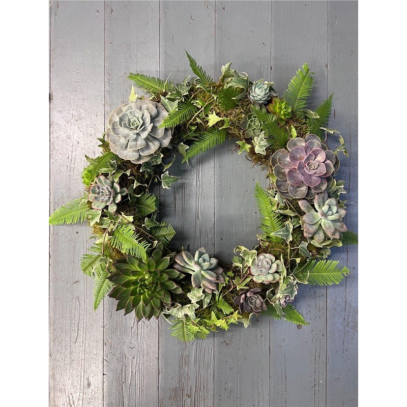 Succulent Wreath