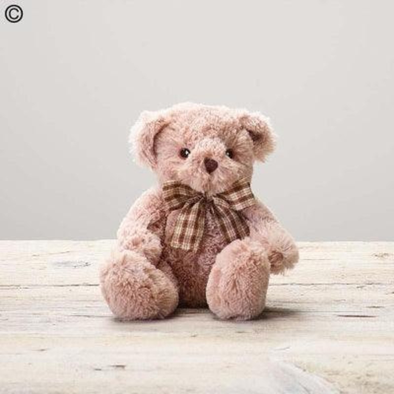 James Junior Bear-11.00 – Standard (As shown in image) & 16.00 – Benjamin-Sitting Brown