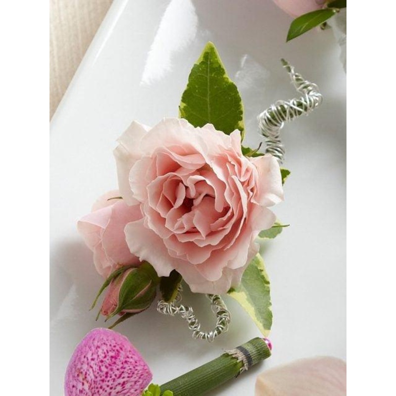Pink Spray Rose Boutonniere