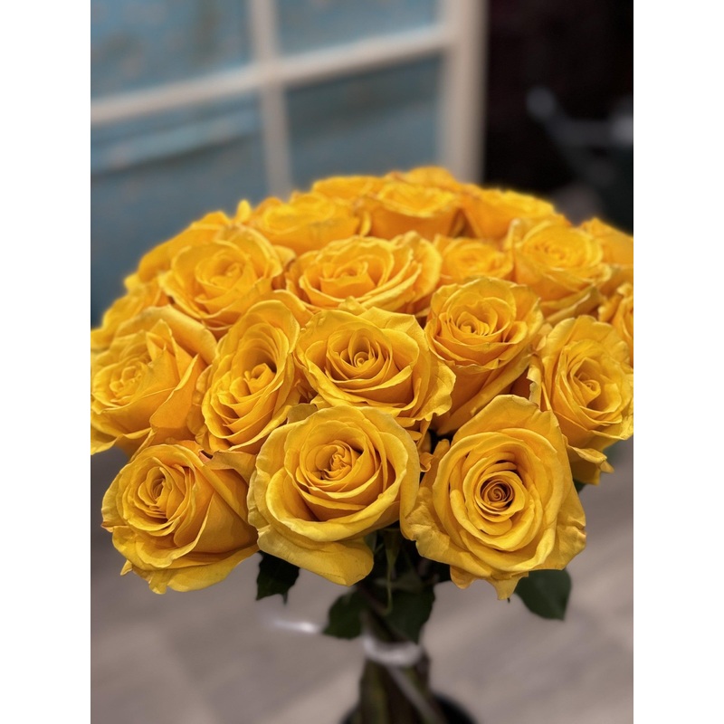 Yellow Rose Hand tied Bouquet-6 Yellow Roses & 12 Yellow Roses & 18 Yellow Roses & 24 Yellow Roses & 50 Yellow Roses & 100 Yellow Roses