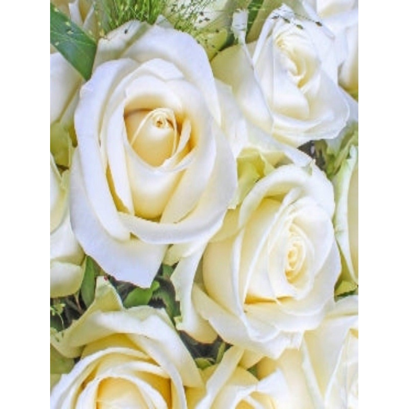 Avalanche White Rose Hand tied Bouquet