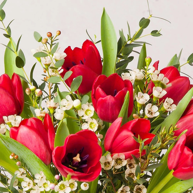 Christmas Tulips-Standard & Grand & Luxury(As showing image)-No Vase & In Vase
