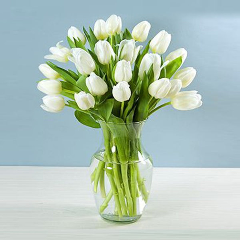 Spectacular White Tulips-Standard & Grand