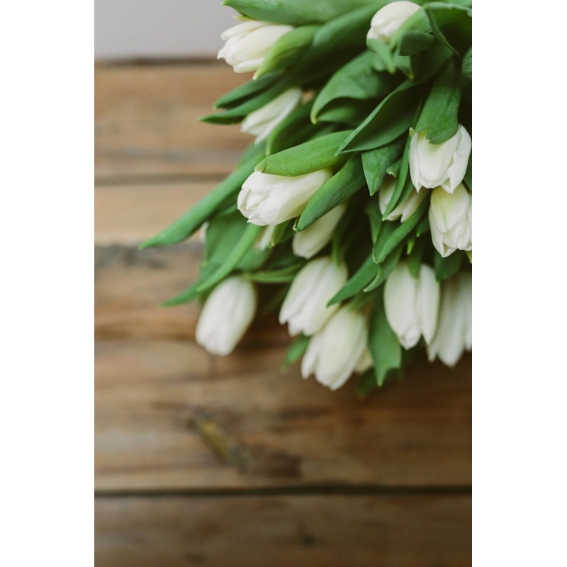 Designer’s Choice : SEASONAL MIX