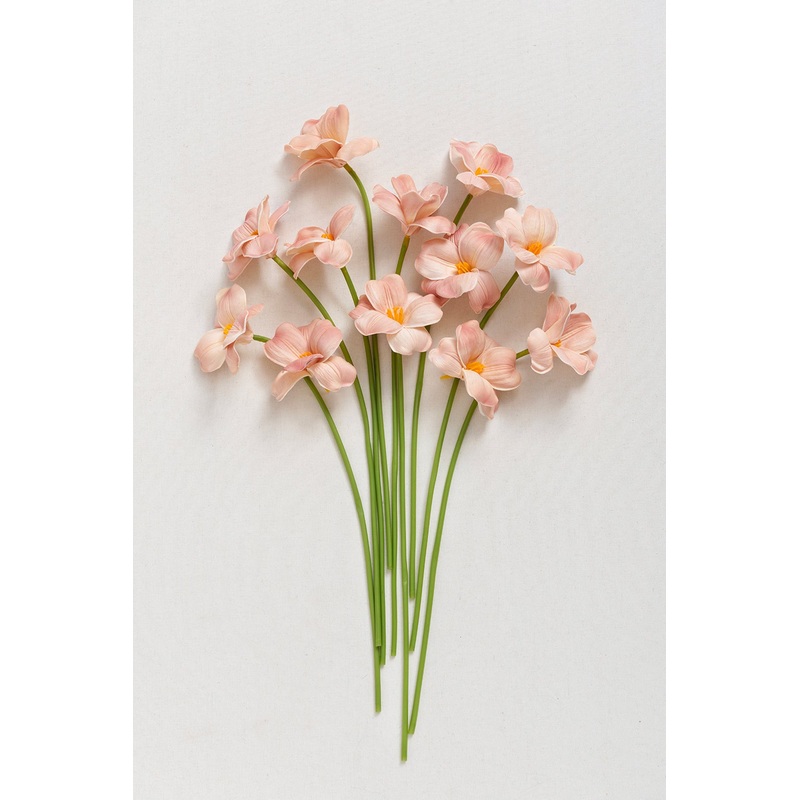 DIY Supporting Flower Boxes in Sunny Peach & Apricot