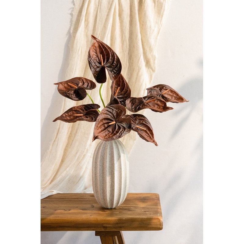 15 Anthurium Flowers with Stem in Brown