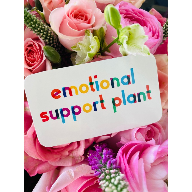 Enclosure Card – Emotional Support Plant
