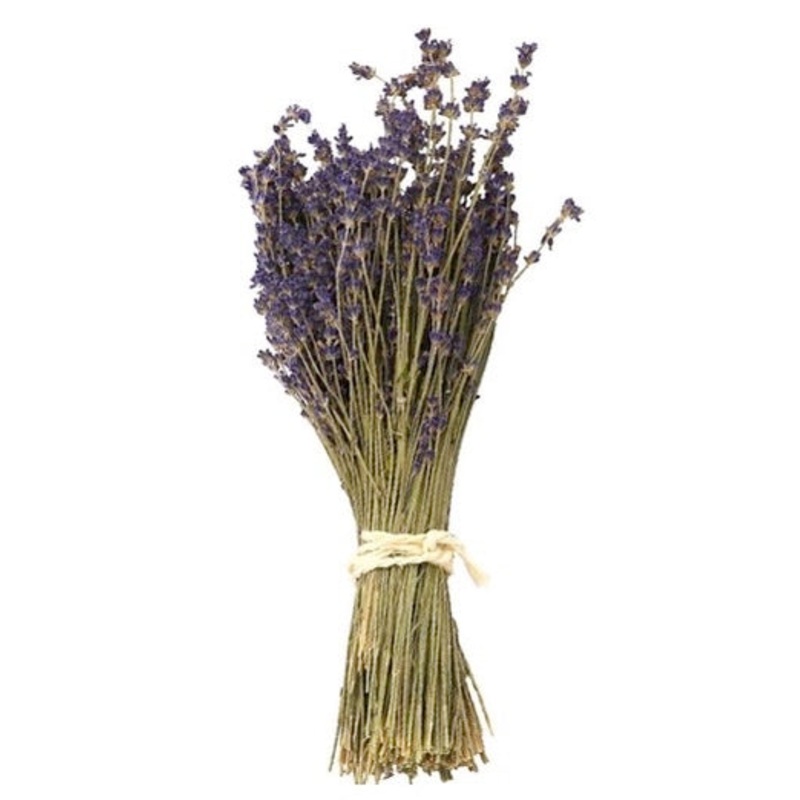 Lavender Bunch – dried
