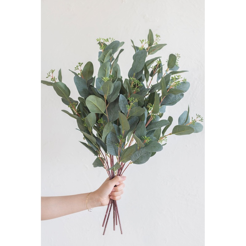 23 Dark Green Seeded Oval Eucalyptus – 6PCS