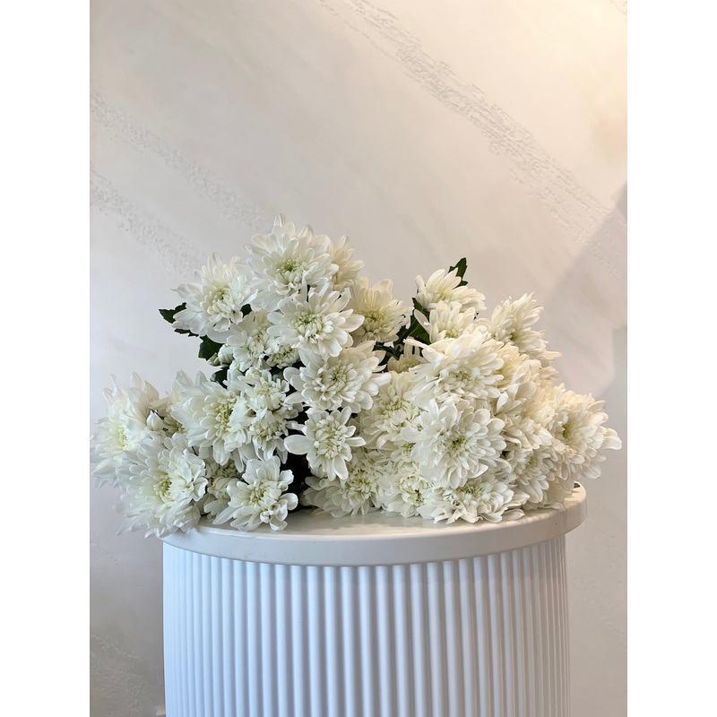 Daisy Bunch-White & Pink & Yellow-One & Two & Three-No vase & Glass vase (+$15) & Florist Choice Vase (+$40)