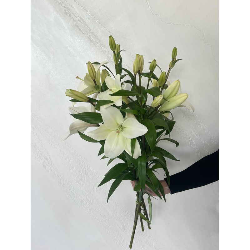 Tiger Lily Bunch-Pink & White & Orange-No Vase & Glass Vase (+$15) & Florist Choice Vase (+$40)