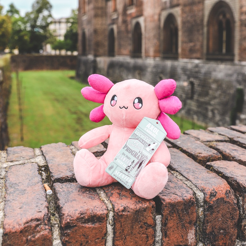 Axol the Axolotl – Pink Plush