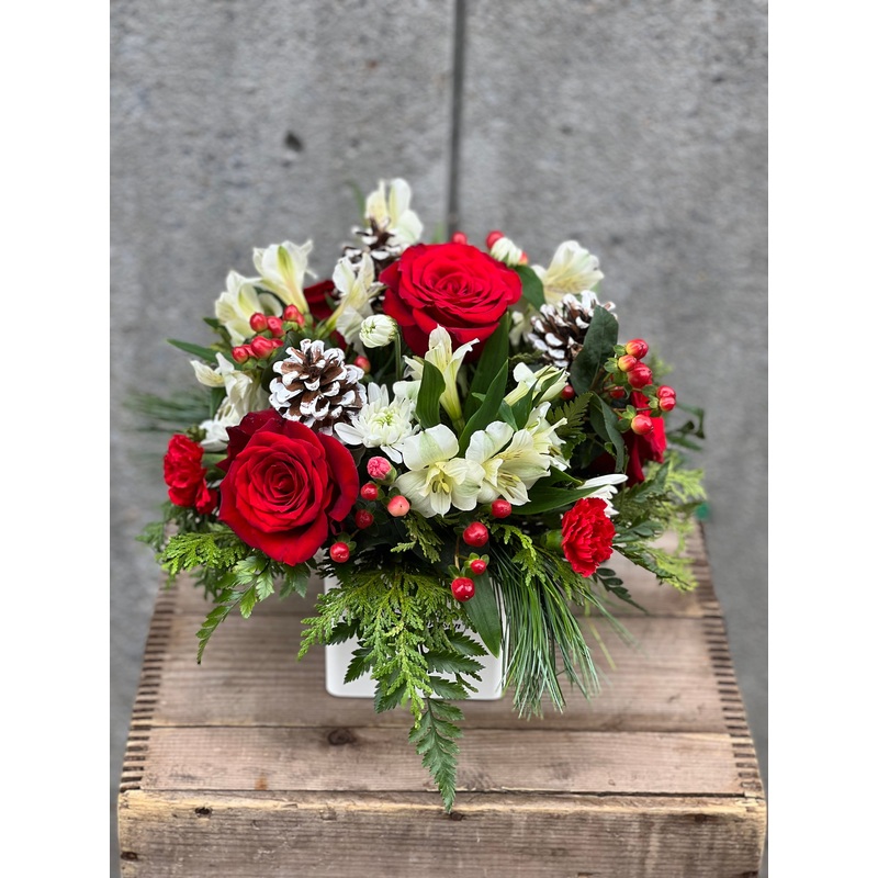 Festive Winter – F8009