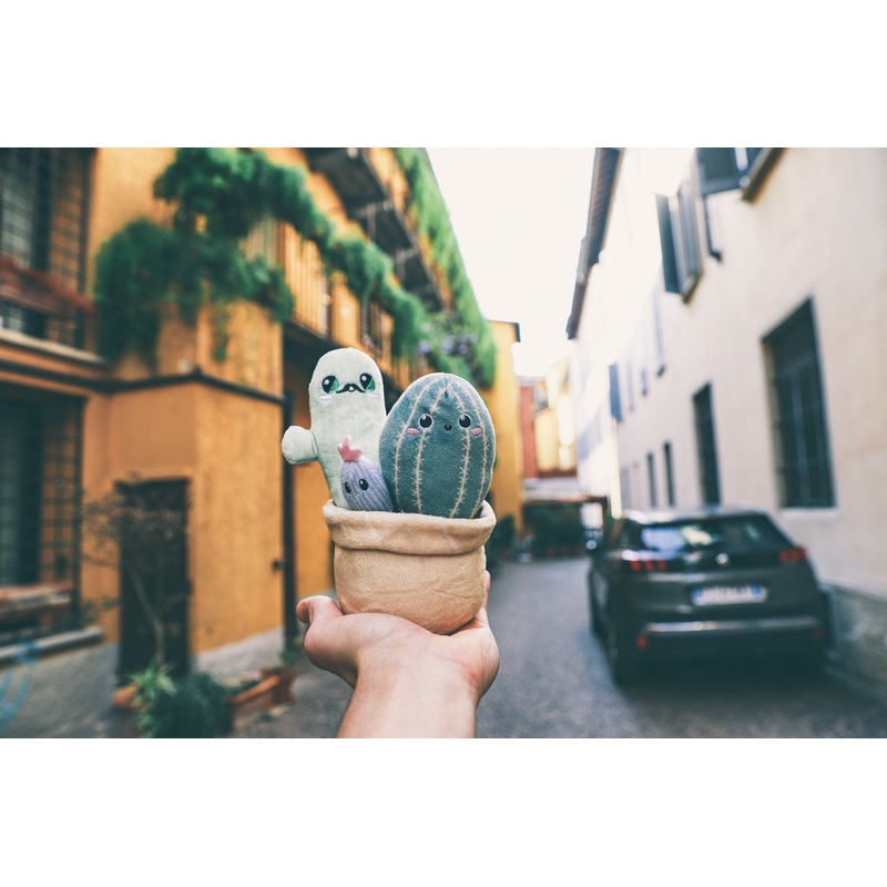 Mr. Cactus & Family Plush