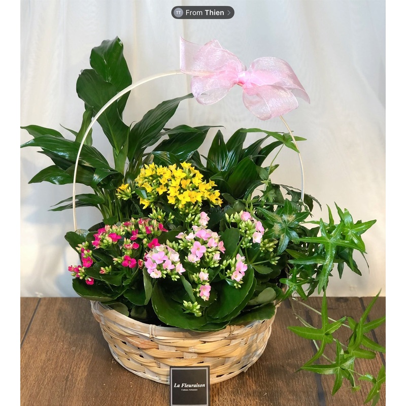 Petite Garden Delight – K6074