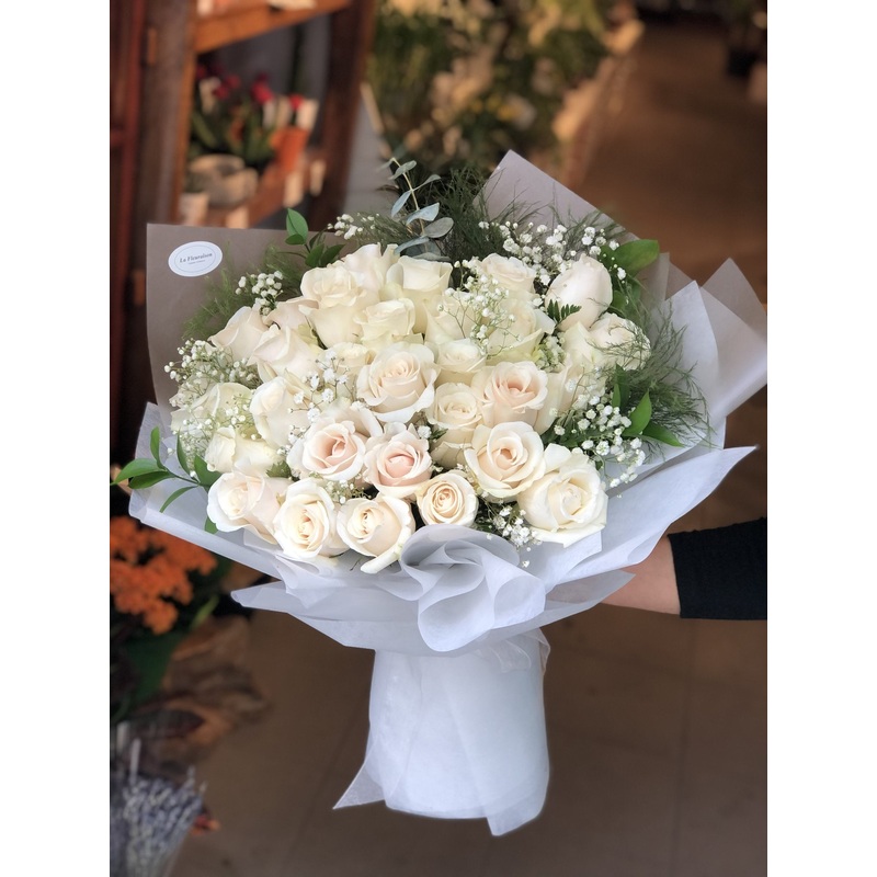 Pure Elegance – F6073