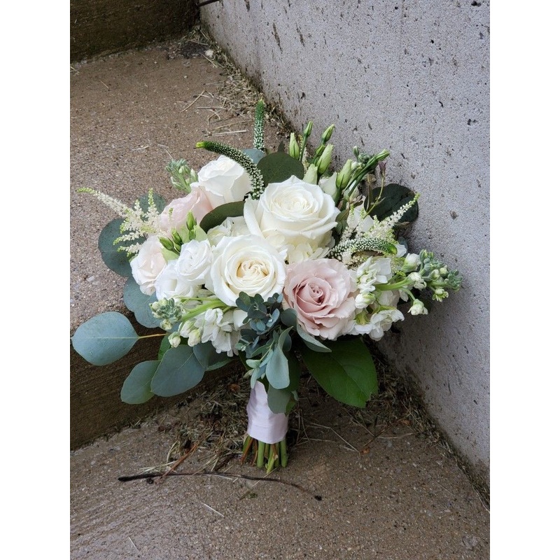 Serene Grace – F5083