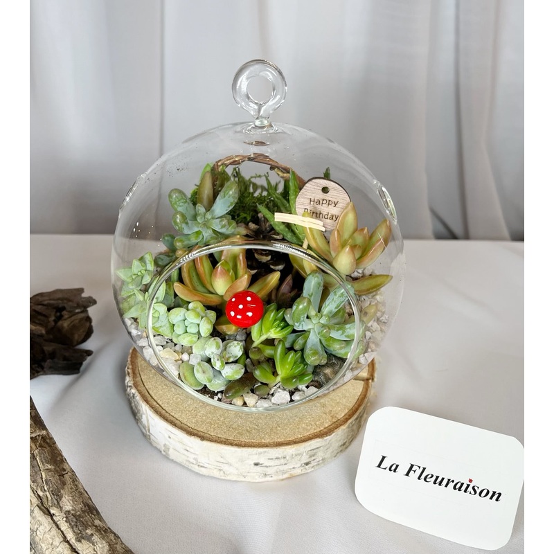 Succulent Terrarium (Large)-Happy Birthday & Thank You & I Love You & Love