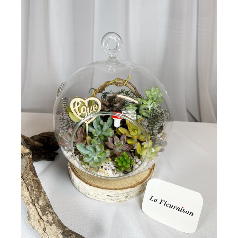 Succulent Terrarium (small)-Happy Birthday & Thank You & I Love You & Love