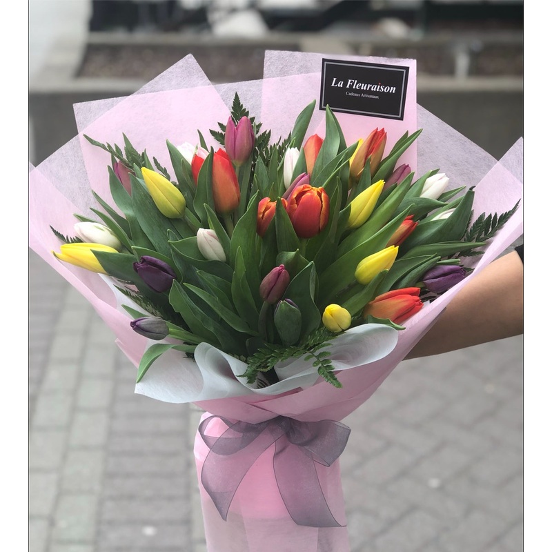 Tulip Elegance (large) – F6070