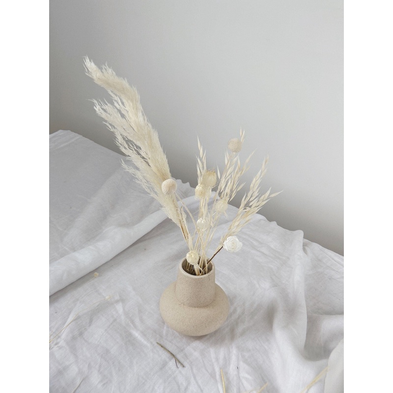 All White Pampas Grass, Billy Balls, Preserved Rose Vase Filler / Dried Flower Home Decoration