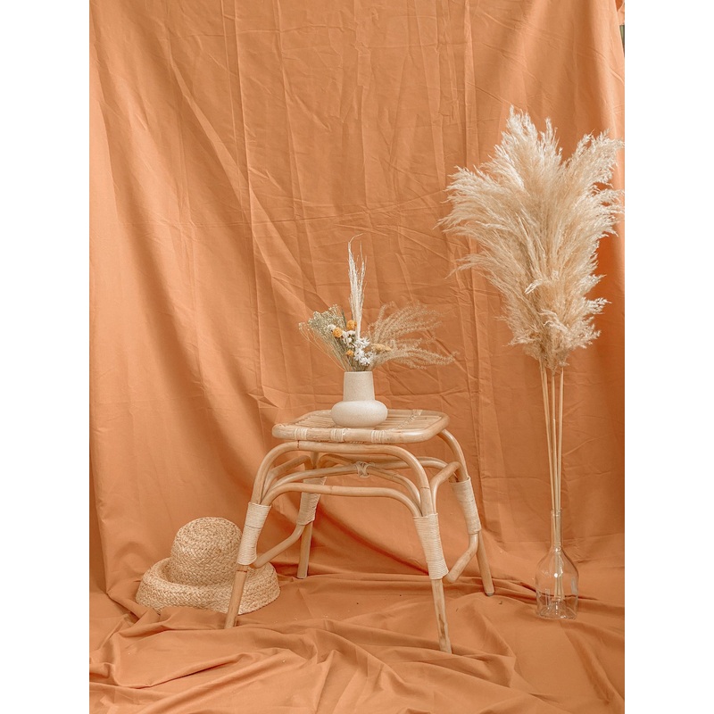 Pampas and Daisy Vase Arrangement / Yarrow and Sanfordii Flowers All Dried Floral Arrangement