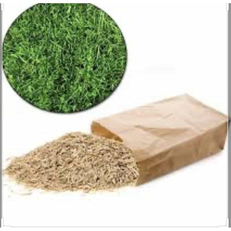 Grass Seed 1kg