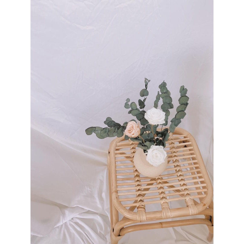 Real Dried Eucalyptus, Everlasting Eternal Preserved Roses Decoration Flower Arrangement / Nude and White Tones