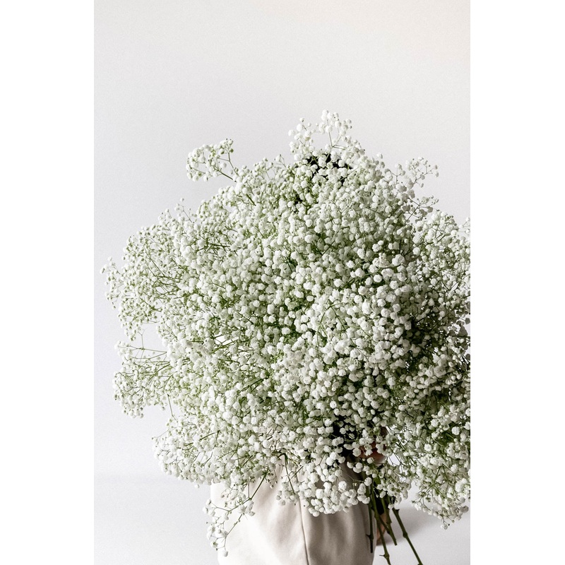 Whispering Clouds Dream