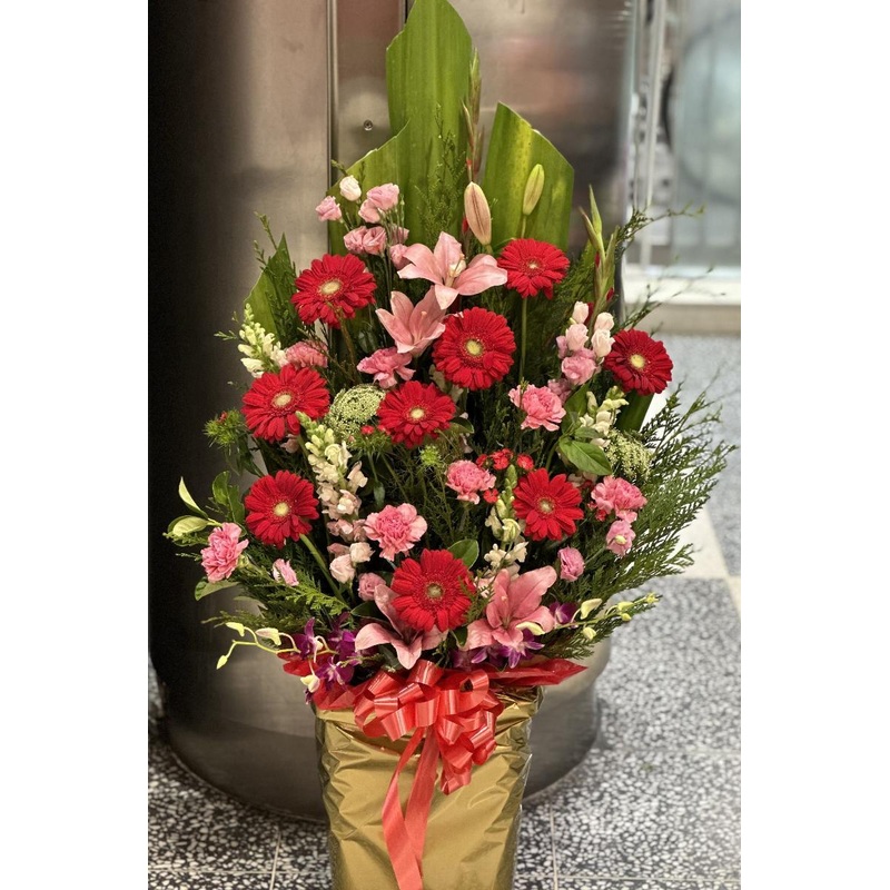 X Large 1.5M Height Grand Opening