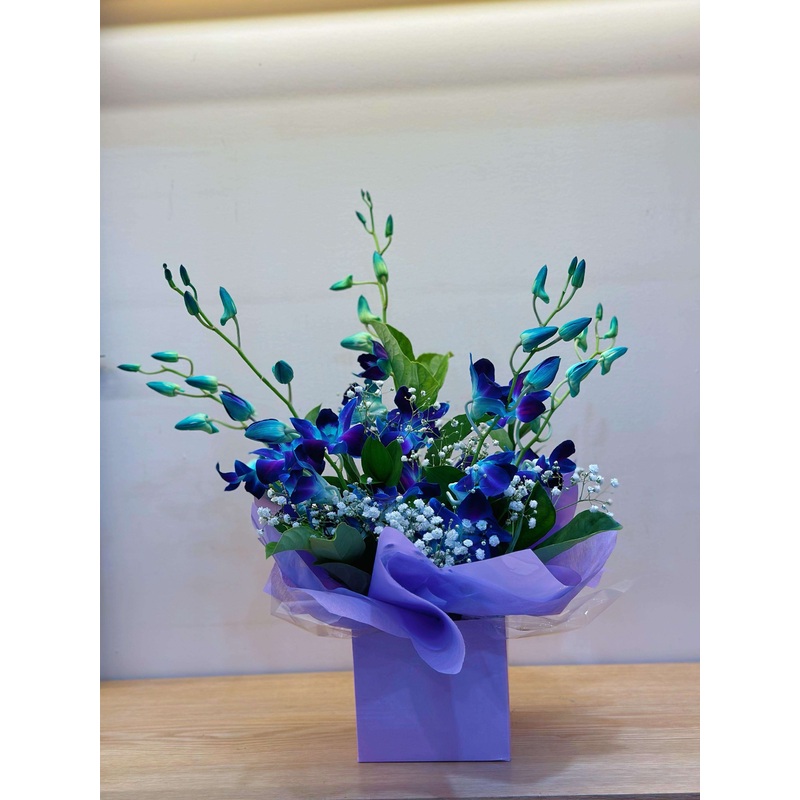 Blue Singapore Orchids Box