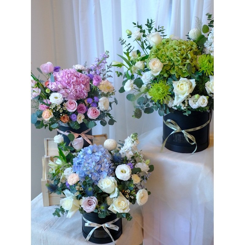 Wonderland-Pastel & Colourful & Cool Blue & White and Green-Regular & Large-Black Box & Pink Box