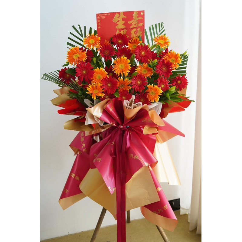 XLARGE 1.7M- 1.8M HEIGHT GRAND OPENING