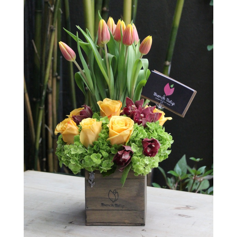 Postcard to Paradise