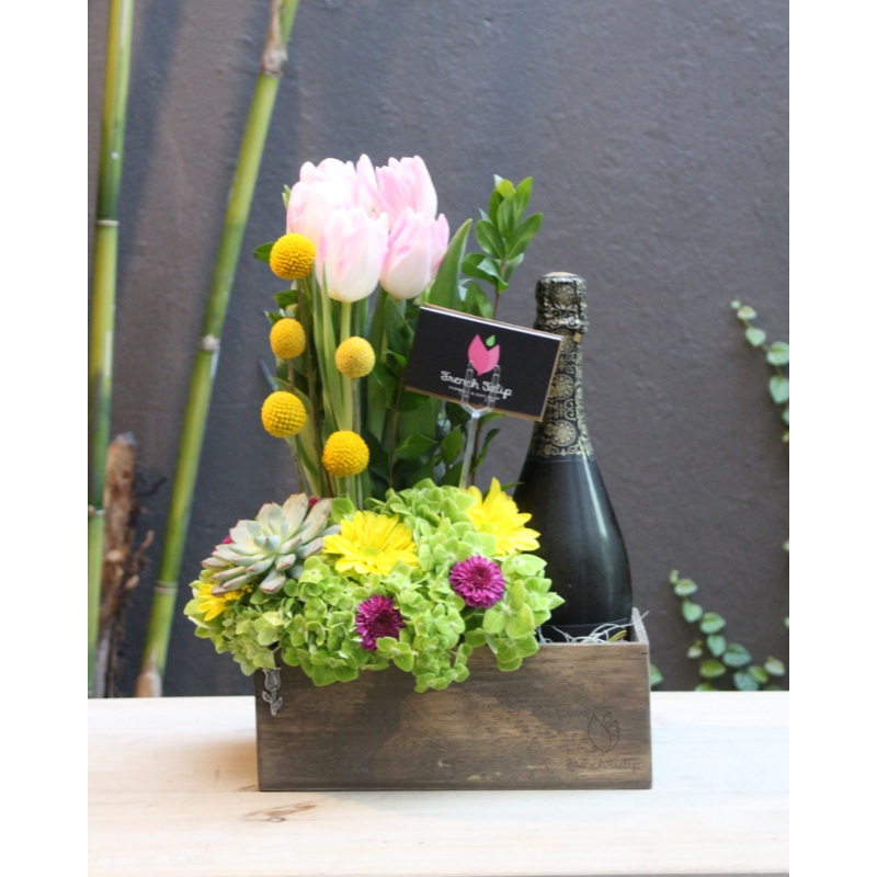 Refreshing Spark With Free Bottle