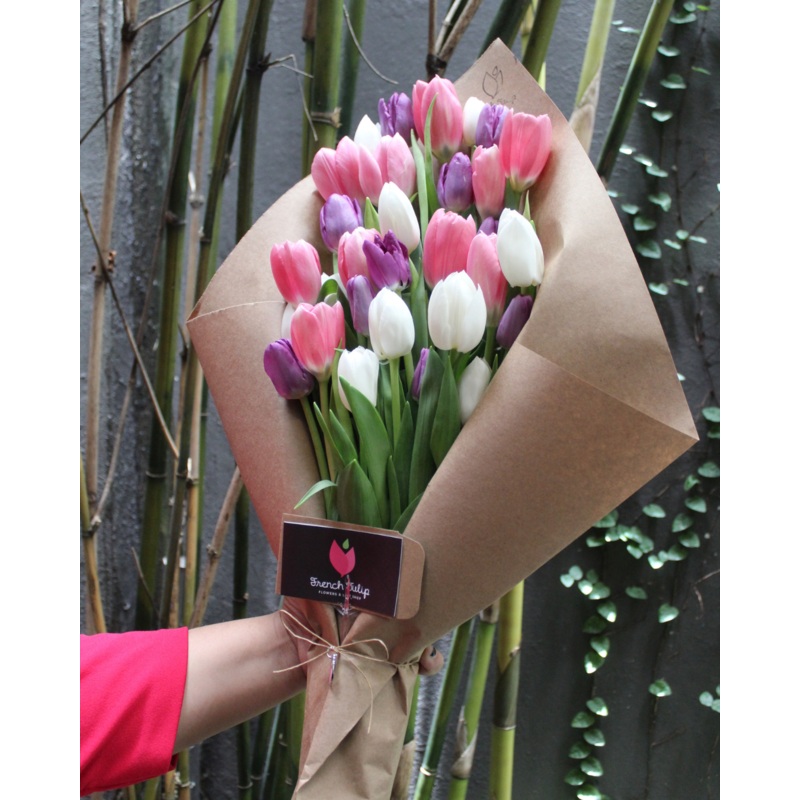 Tulip Obsession (30 Tulips)