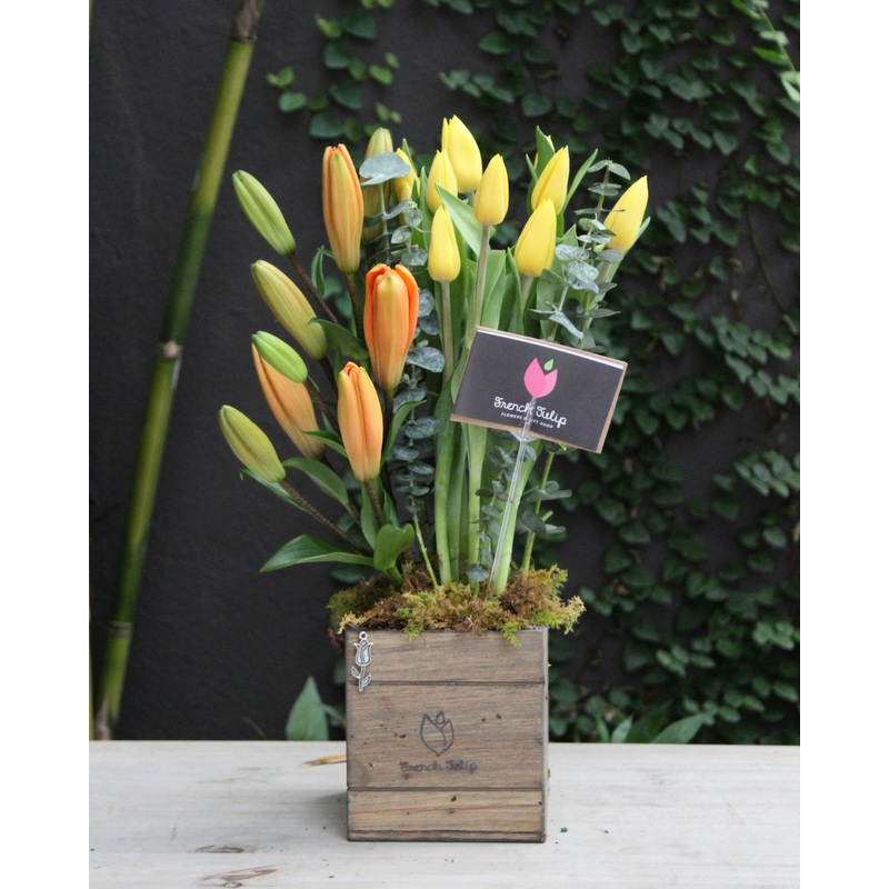 Unforgettable Blooms