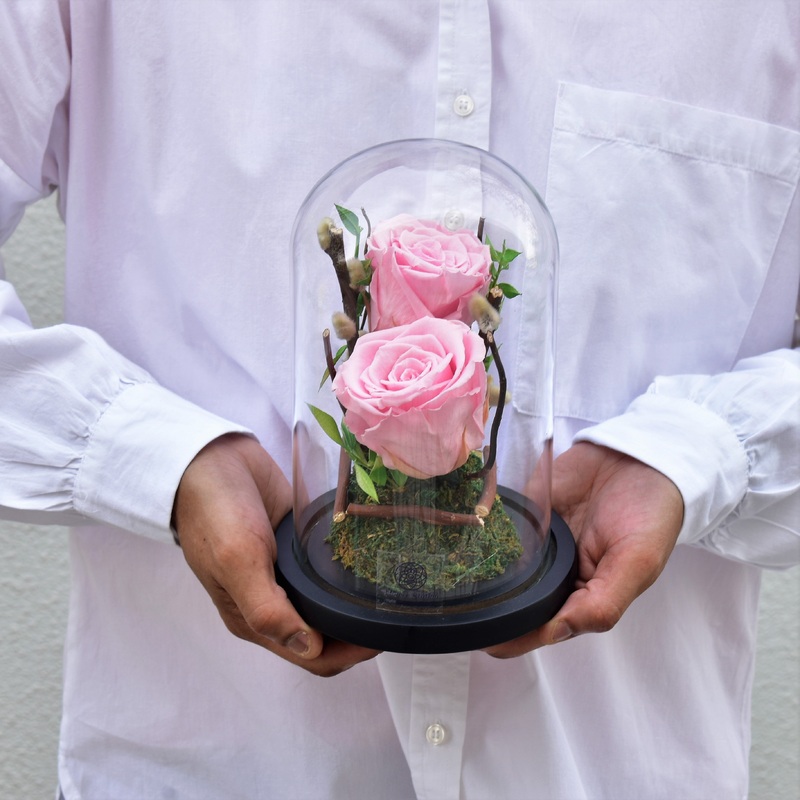 Angelic – Forever Rose