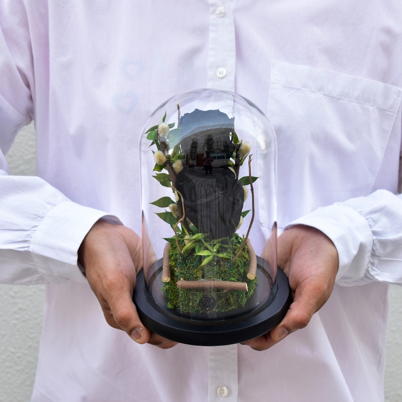 Black Pearl – Forever Rose