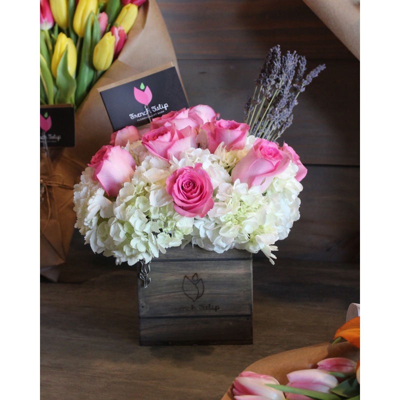 Chic To Cheek-Small & Medium & Large