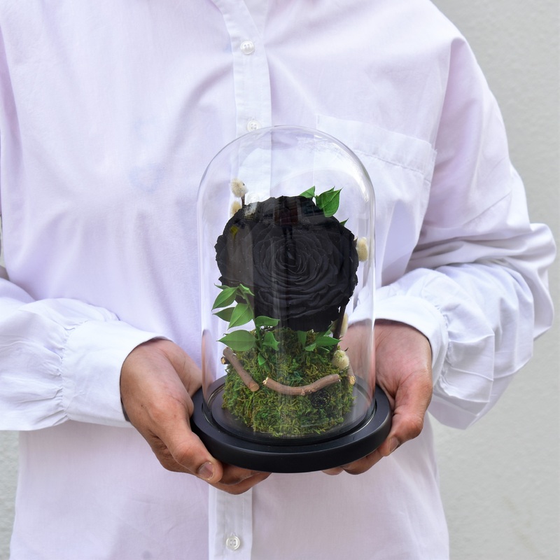 Forever in Love – Forever Rose