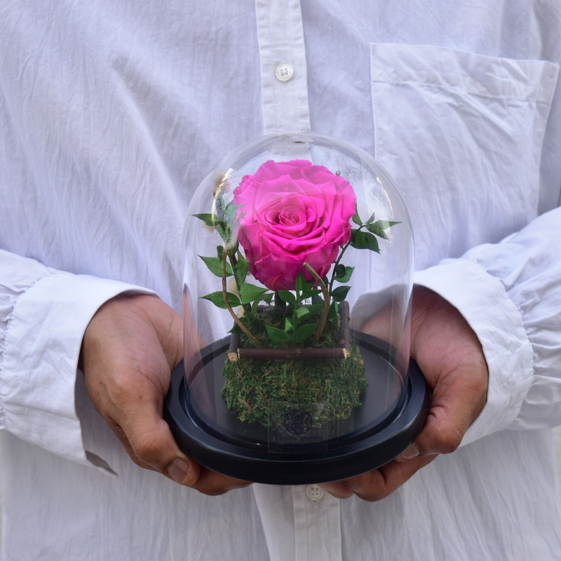 Forever Young – Forever Rose