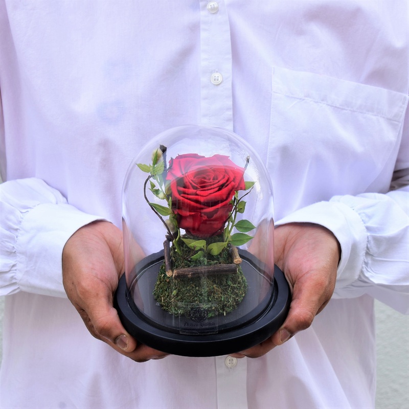 Infinite Love – Forever Rose