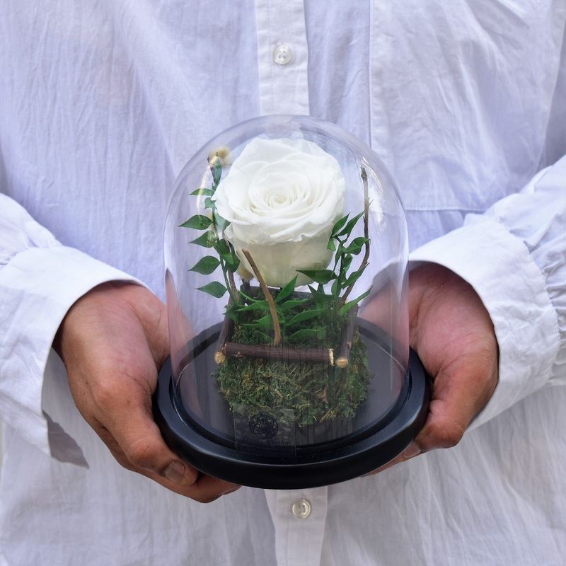 Sentiments – Forever Rose